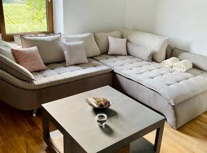 公寓 Freiblick 1 Bad Glbg Mit Garten Top1